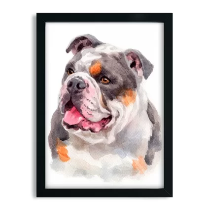 Quadro decorativo Cachorro Bulldog Inglês aquarela sku: 1061g11