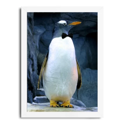 Quadro Decorativo Pinguim de Gravata SKU QA110 Moldura Branca
