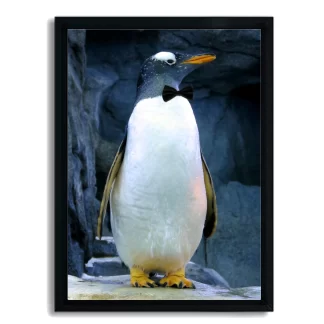 Quadro Decorativo Pinguim de Gravata SKU QA110 Moldura Preta