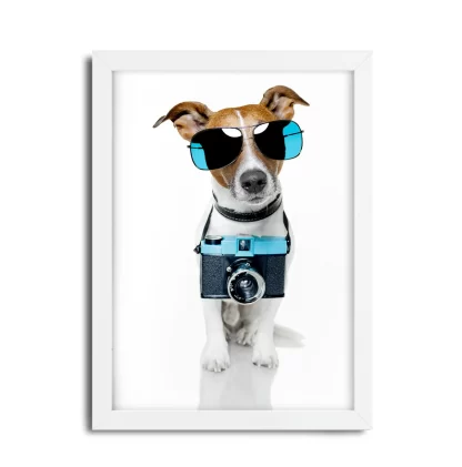 Quadro Decorativo Cachorro com óculos e câmera - SKU 1738