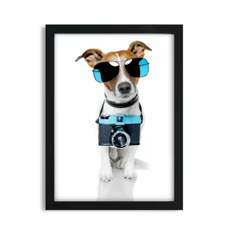Quadro Decorativo Cachorro com óculos e câmera - SKU 1738