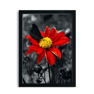 Quadro Decorativo Floral Flor Vermelha SKU: 105P