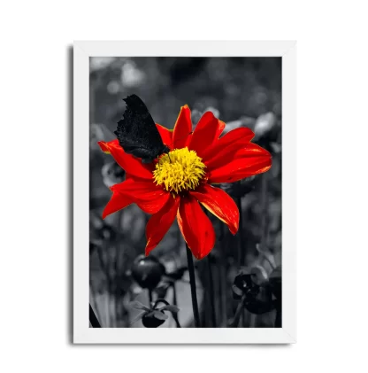Quadro Decorativo Floral Flor Vermelha SKU: 105P