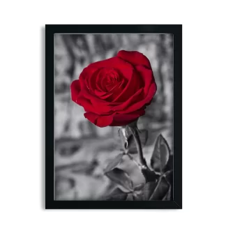 Quadro Decorativo Floral Flor Rosa Vermelha SKU: 106p