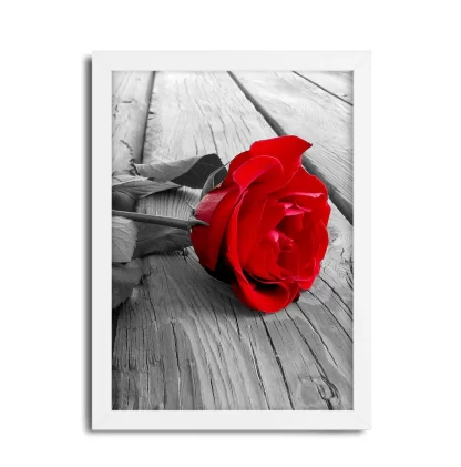 Quadro Decorativo Floral Flor Rosa Vermelha SKU: 121p