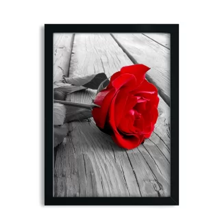 Quadro Decorativo Floral Flor Rosa Vermelha SKU: 121p