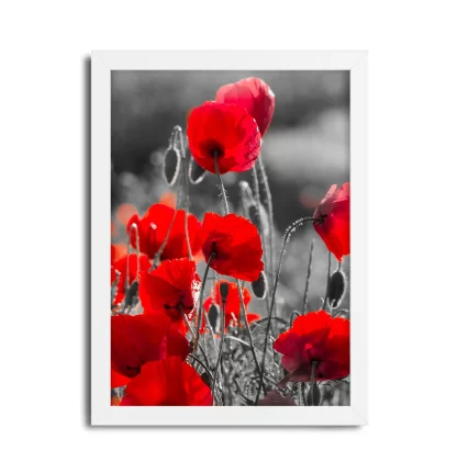 Quadro Decorativo Floral Flor Vermelha SKU: 130p
