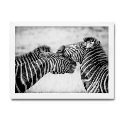 Quadro Decorativo Zebras - SKU: 140pb