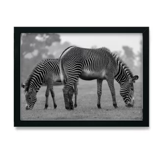 Quadro Decorativo Savana Zebras - SKU: 146pb