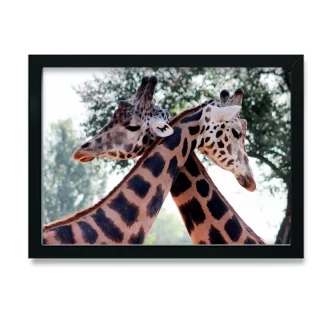 Quadro Decorativo Girafas - SKU: 170pb