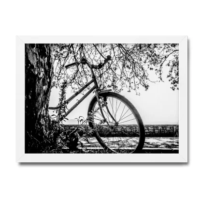 Quadro Decorativo Bicicleta - SKU: 172pb