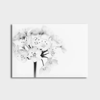 Quadro Decorativo Floral Flor Branca - SKU: 175pb