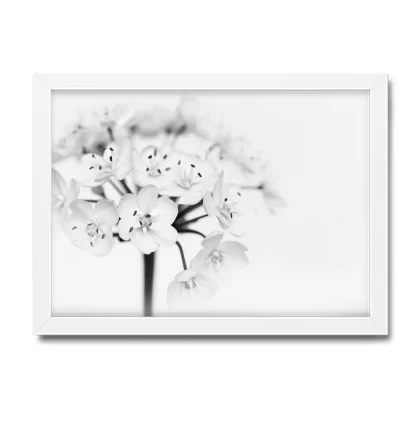Quadro Decorativo Floral Flor Branca - SKU: 175pb