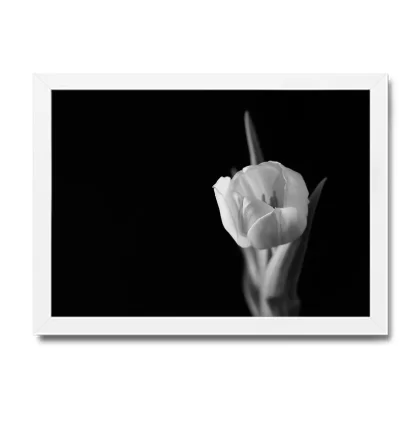 Quadro Decorativo Flor Branca - SKU: 176g2pb
