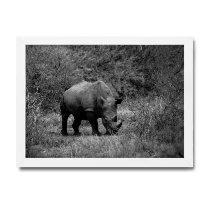 Quadro Decorativo Rinoceronte - SKU: 188pb