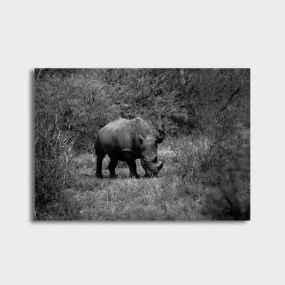 Quadro Decorativo Rinoceronte - SKU: 188pb