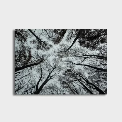 Quadro Decorativo Natureza Árvores - SKU: 197pb