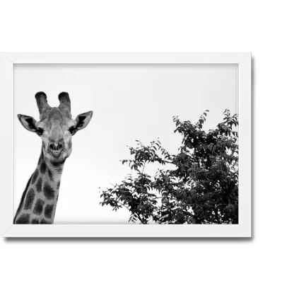 Quadro Decorativo Girafa - SKU: 208pb