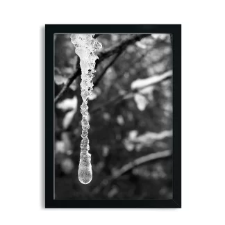Quadro Decorativo Natureza Pingente de Gelo - SKU: 214pb