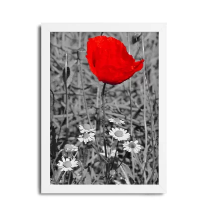 Quadro Decorativo Floral Flor Vermelha - SKU: 221pb