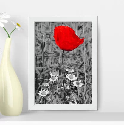 Quadro Decorativo Floral Flor Vermelha - SKU: 221pb
