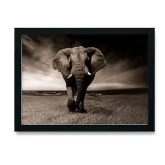 Quadro Decorativo Elefante - SKU: 222pb
