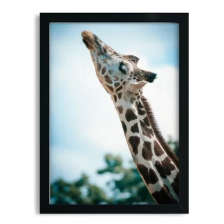 Quadro Decorativo Girafa - SKU: 232g