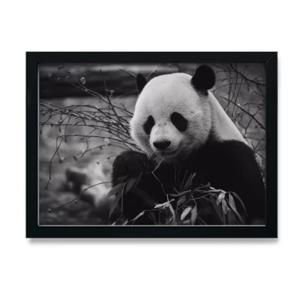 Quadro Decorativo Urso Panda - SKU: 233g